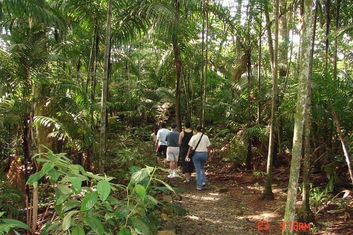 Ecological Panama: 6-Day Nature Tour from Panama City photo 6