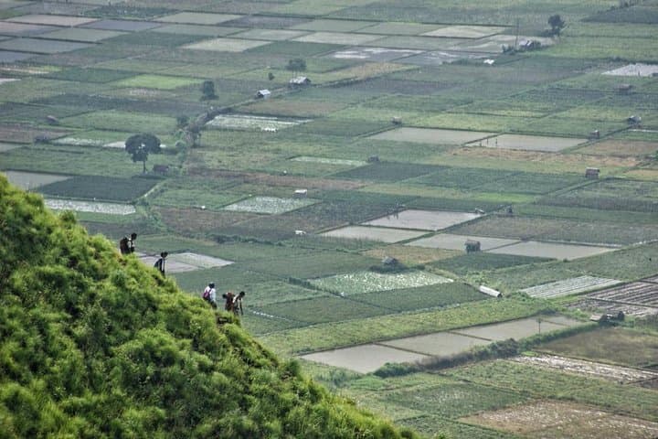 Pergasingan Hill Soft Trek: Day Hike in Sembalun Valley, Lombok photo 5