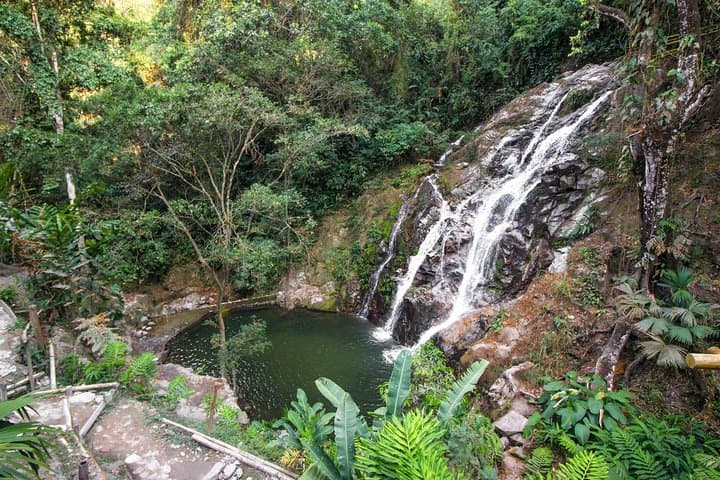 Minca Day Trip: Coffee Farm Visit & Waterfalls from Santa Marta