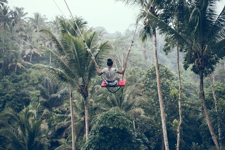 Ultimate Ubud Day Tour: Tegalalang Rice Terraces, Coffee & Sacred Monkey Forest