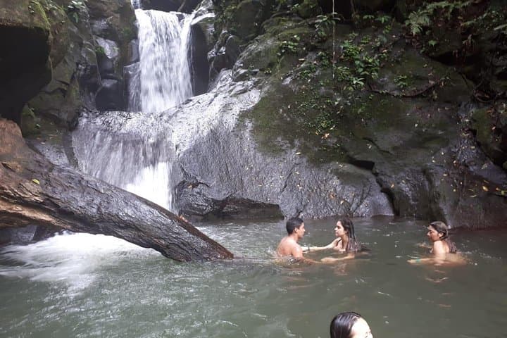 Panama Jungle Tour: Monkey Trails, Waterfalls & Pipeline Road Adventure photo 6