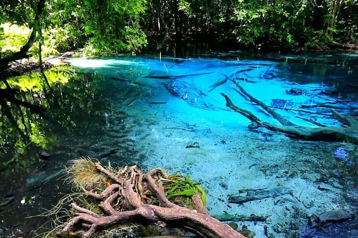 Krabi Jungle Adventure: Emerald Pool, Hot Springs & ATV Riding photo 2