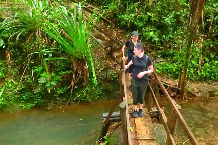 Customize Your Suva Private Tour: Markets, Gardens & Waterfalls photo 4