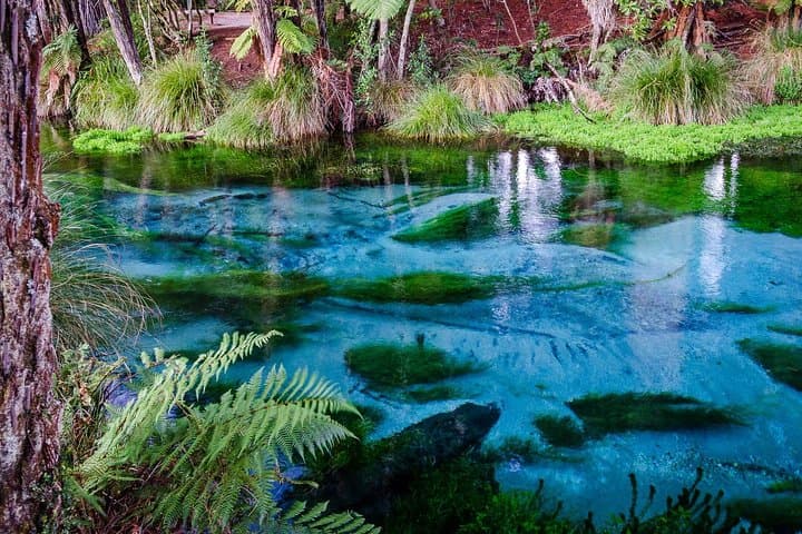Hobbiton & Waitomo Glowworm Cave Day Tour from Auckland photo 3
