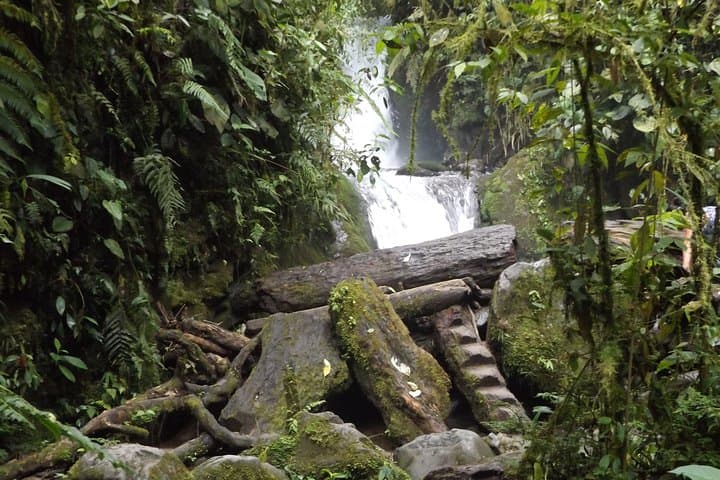 Full-Day Mindo Cloud Forest Tour: Waterfalls, Hikes & Chocolate Making photo 3