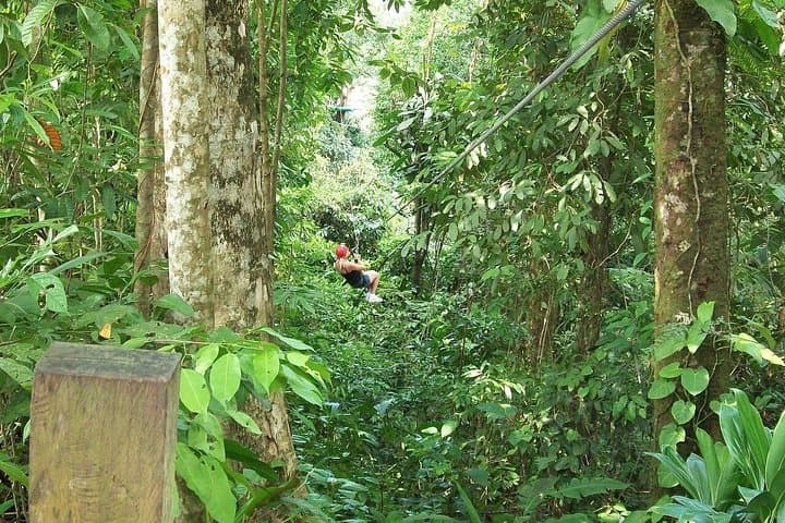 Full-Day Mindo Cloud Forest Tour: Waterfalls, Hikes & Chocolate Making photo 5