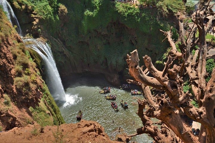 Full-Day Ouzoud Waterfalls Excursion from Marrakech — Waterfalls, Monkeys & Olive Valleys photo 4