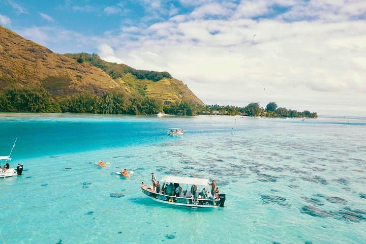 Moorea Lagoon Tour: Swim with Turtles, Rays & Blacktip Sharks