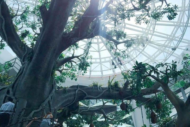 Inside Dubai’s Green Planet: A Vertical Rainforest Experience at City Walk photo 3