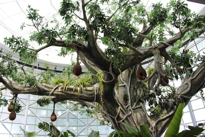 Inside Dubai’s Green Planet: A Vertical Rainforest Experience at City Walk photo 6