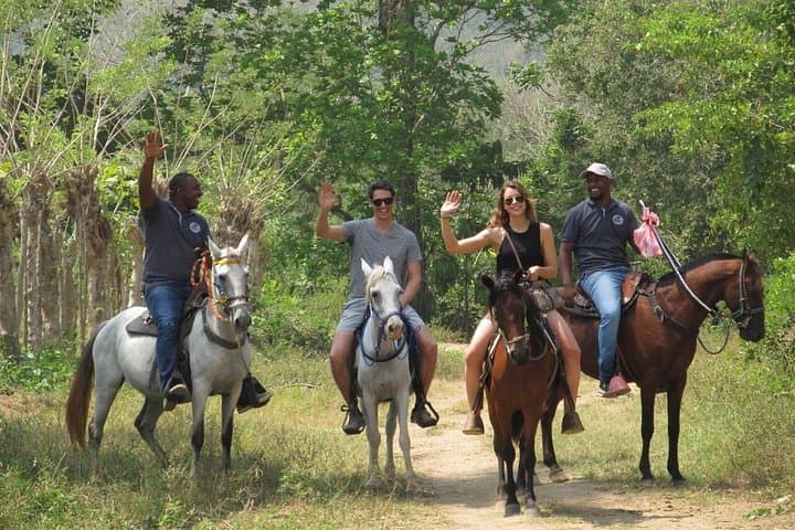 Horseback Eco-Tour Around Palenque: Ride Jungle Trails to Mayan History