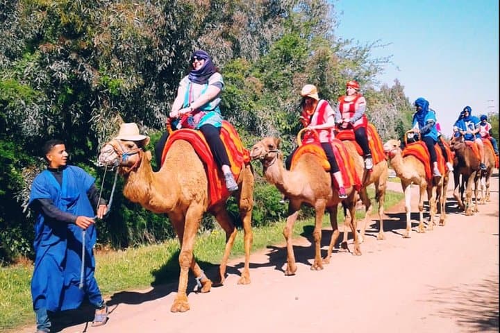 Atlas Mountains Day Trip: 5 Valleys & Camel Ride from Marrakech