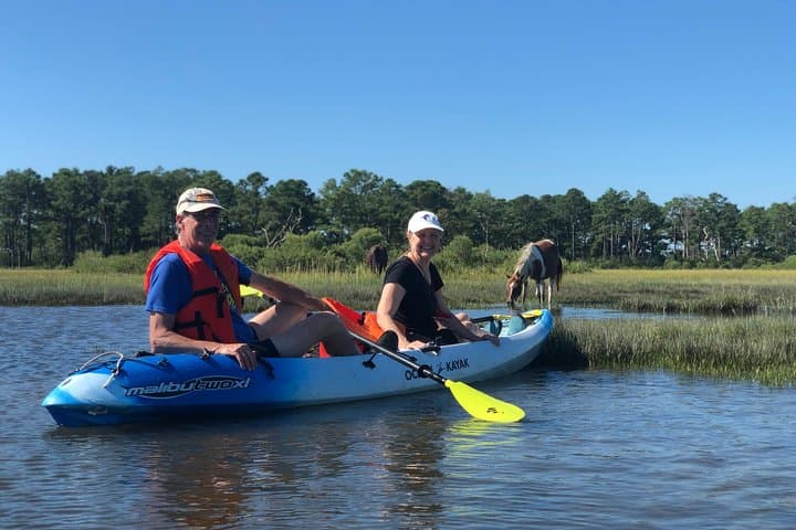 Assateague Guided Kayak Tour to See Ponies, Dolphins & Birds photo 3