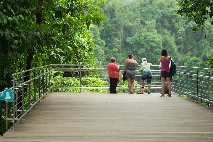 La Fortuna Waterfall Hike & Farm-to-Table Lunch — La Fortuna Park Experience photo 3