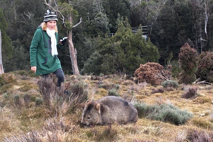 Cradle Mountain Day Trip from Burnie — Dove Lake Shuttle & Short Walks photo 4