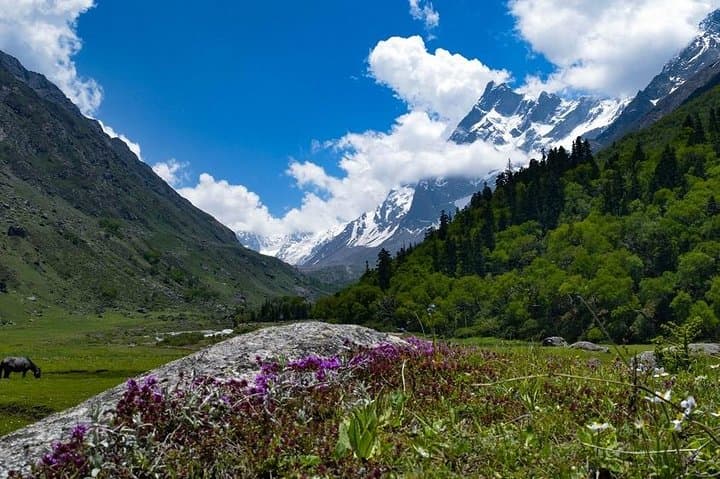 Har Ki Dun Trek: 7-Day Himalayan Valley Trek from Dehradun