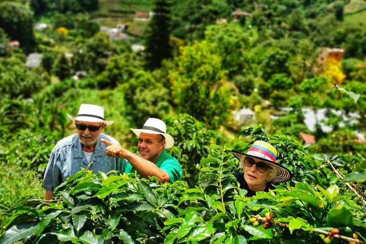 Full-Day Coffee Farm Visit and Jardin Walking Tour from Medellin photo 1