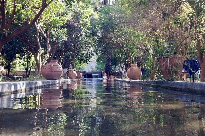 Taroudant & Tiout: Mini Marrakech Day Trip to Kasbahs and Oasis photo 6