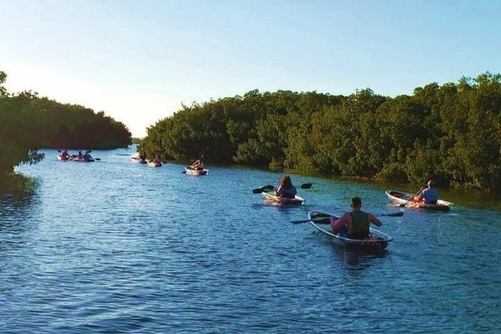 Clear Kayak Tour in Shell Key & Fort De Soto — Guided Crystal Kayaks photo 4