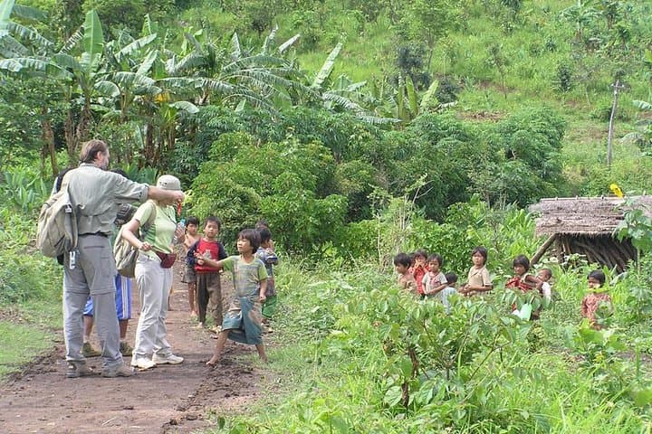 Trekking to Palaung Villages from Kalaw: 6-Hour Cultural Forest Hike photo 3