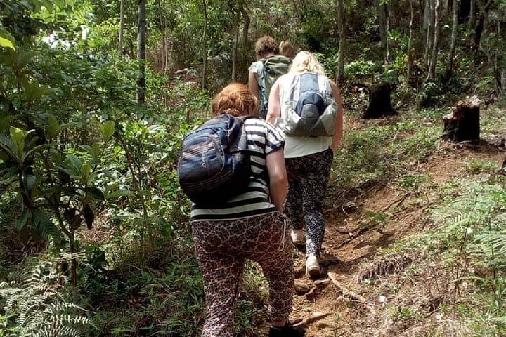Day Hike to Lupanga Peak — Uluguru Mountains Hiking Guide