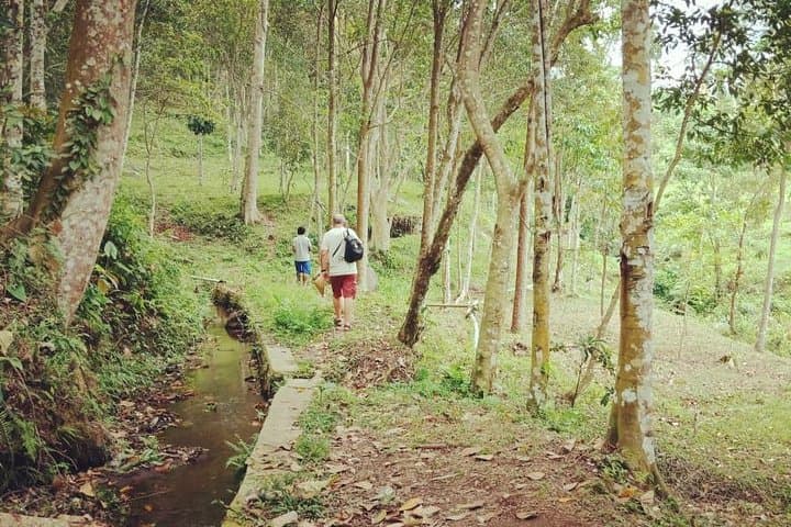 Soft Trekking Tetebatu: Rice Terraces & Waterfall Day Hike on Mount Rinjani's Slopes photo 6