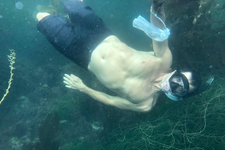 Snorkeling Los Angeles: Secluded Kelp Forests & Fresh Uni Near Redondo Beach photo 4