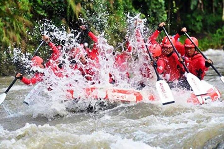 Elo River Rafting Near Magelang: Beginner-Friendly Java Rapids photo 6