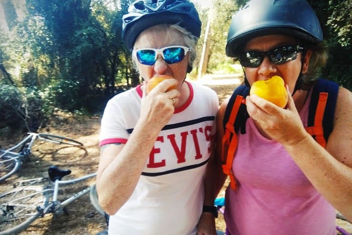 From Sitges: Bike Tour & Winery Visit to Alt Penedès Cava photo 4
