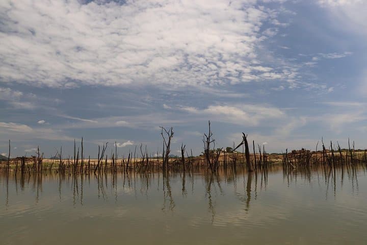 Gal Oya Boat Safari: See Swimming Elephants and Indigenous Tribes photo 3