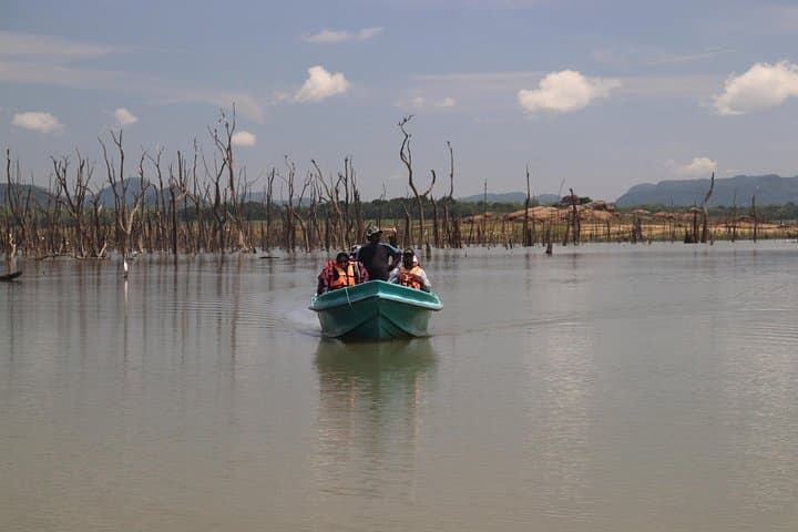 Gal Oya Boat Safari: See Swimming Elephants and Indigenous Tribes photo 4