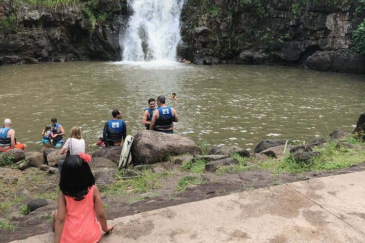 North Shore & Waimea Falls Day Tour — Swim with Turtles on Oahu photo 1
