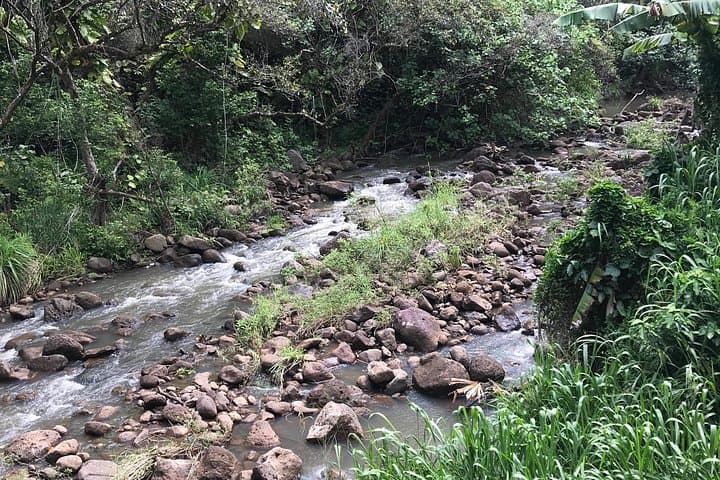 North Shore & Waimea Falls Day Tour — Swim with Turtles on Oahu photo 3