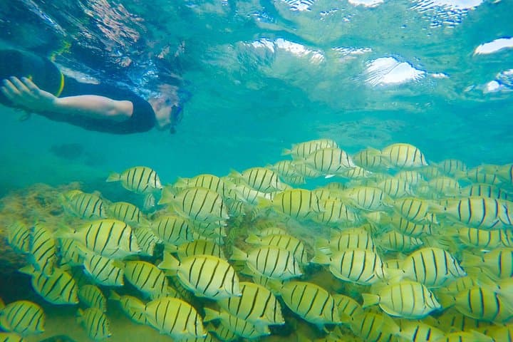 Private Customizable Oahu Tours — Local-Led Island Exploration photo 2