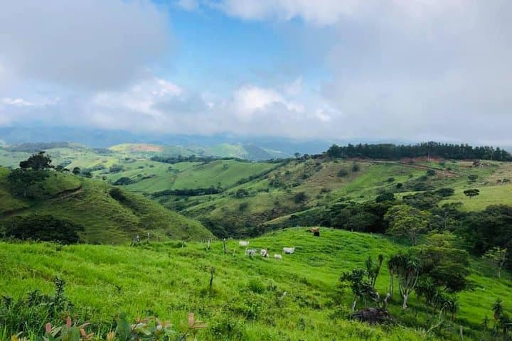 Horseback Riding the Monteverde Cloud Forest: Sunrise Birding & Sunset Views photo 3