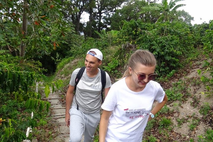 Blue Mountain Coffee Tour from Kingston: Sightseeing, Waterfalls & Tasting photo 5