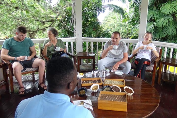 Blue Mountain Coffee Tour from Kingston: Sightseeing, Waterfalls & Tasting photo 3