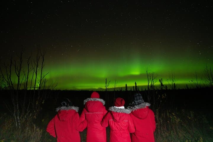 Anchorage Northern Lights Tour: Aurora Viewing & Photography Near Anchorage photo 2