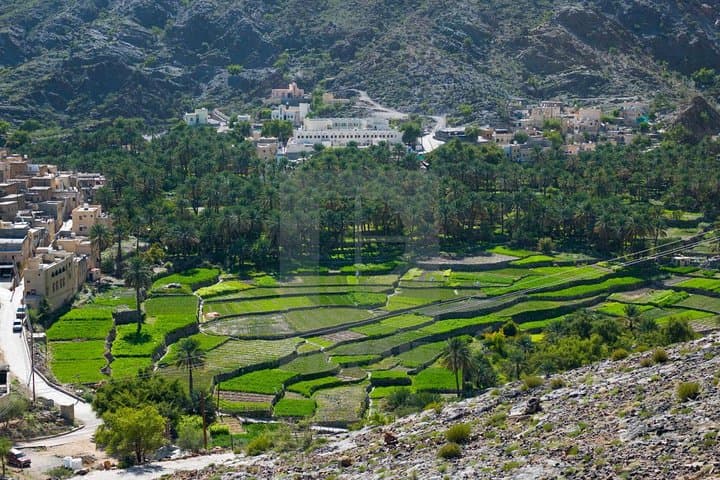 Bilad Sayt 4WD Day Trip from Muscat — Wadi Bani Awf, Terraced Gardens & Nakhl Return photo 6