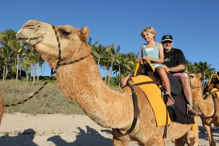 Sunset Camel Ride Along Agadir Beach and Souss River photo 3