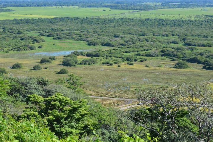 Guanacaste Forest Zipline: Canopy Flight Near Tamarindo's Pacific Coast photo 6