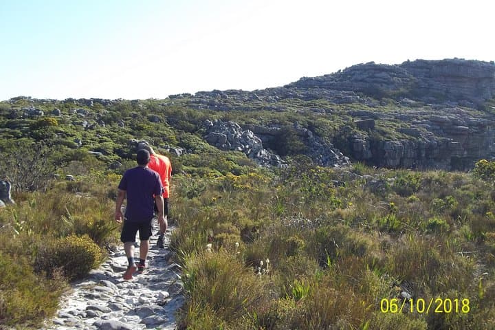 Back Table Walk on Table Mountain — Guided Hike Above Cape Town photo 3