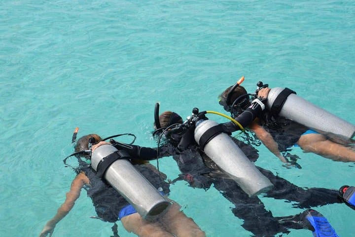 Discovery Scuba Dive in Costa Maya — Beginner PADI-Guided Reef Experience