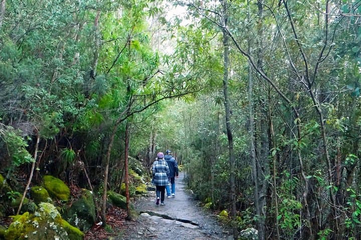 Kunanyi / Mt Wellington Explorer Bus: Summit Shuttle and Self-Guided Hike or Bike from Hobart
