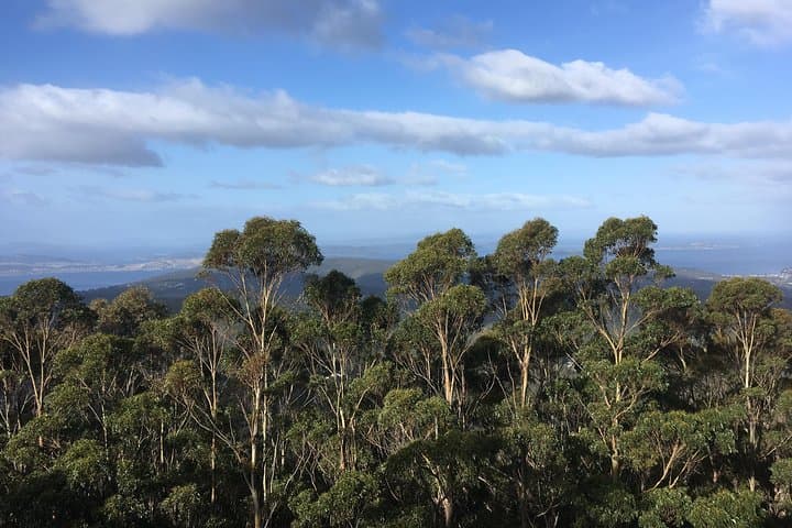 Kunanyi / Mt Wellington Explorer Bus: Summit Shuttle and Self-Guided Hike or Bike from Hobart photo 5