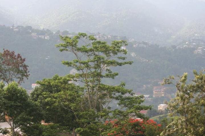 Birdwatcher's Quest: Hanthana Mountain Range Trek from Kandy photo 2