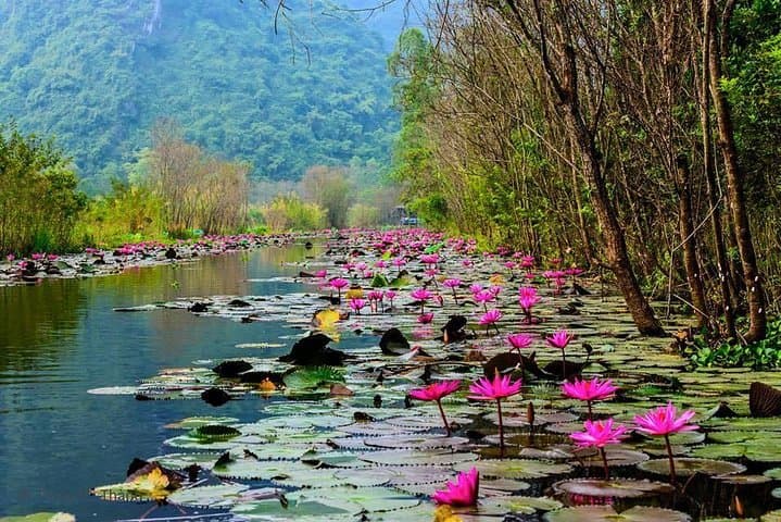 Perfume Pagoda Full-Day Trip: Hanoi to Huong Tich Cave by Boat and Cable Car