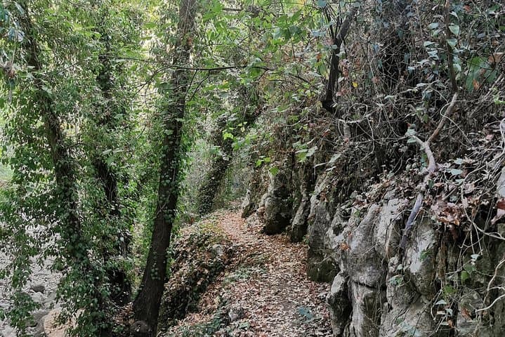 Hike Moukhtara to Barouk River: Waterfalls, Roman Bridges & Bride's Pond photo 4