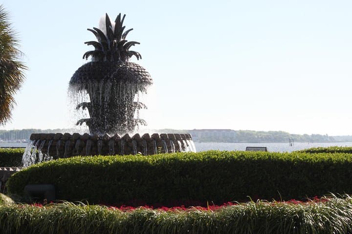90-Minute Charleston Historic City Sightseeing Bus Tour photo 2