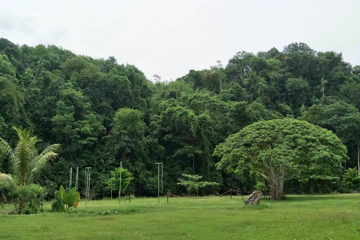 Borneo Combo Adventure: 2-Day Kiulu Jungle Trek, Camp Kalani & Zip Borneo Challenge photo 1